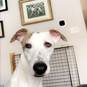 Meet your Posher, Lynne